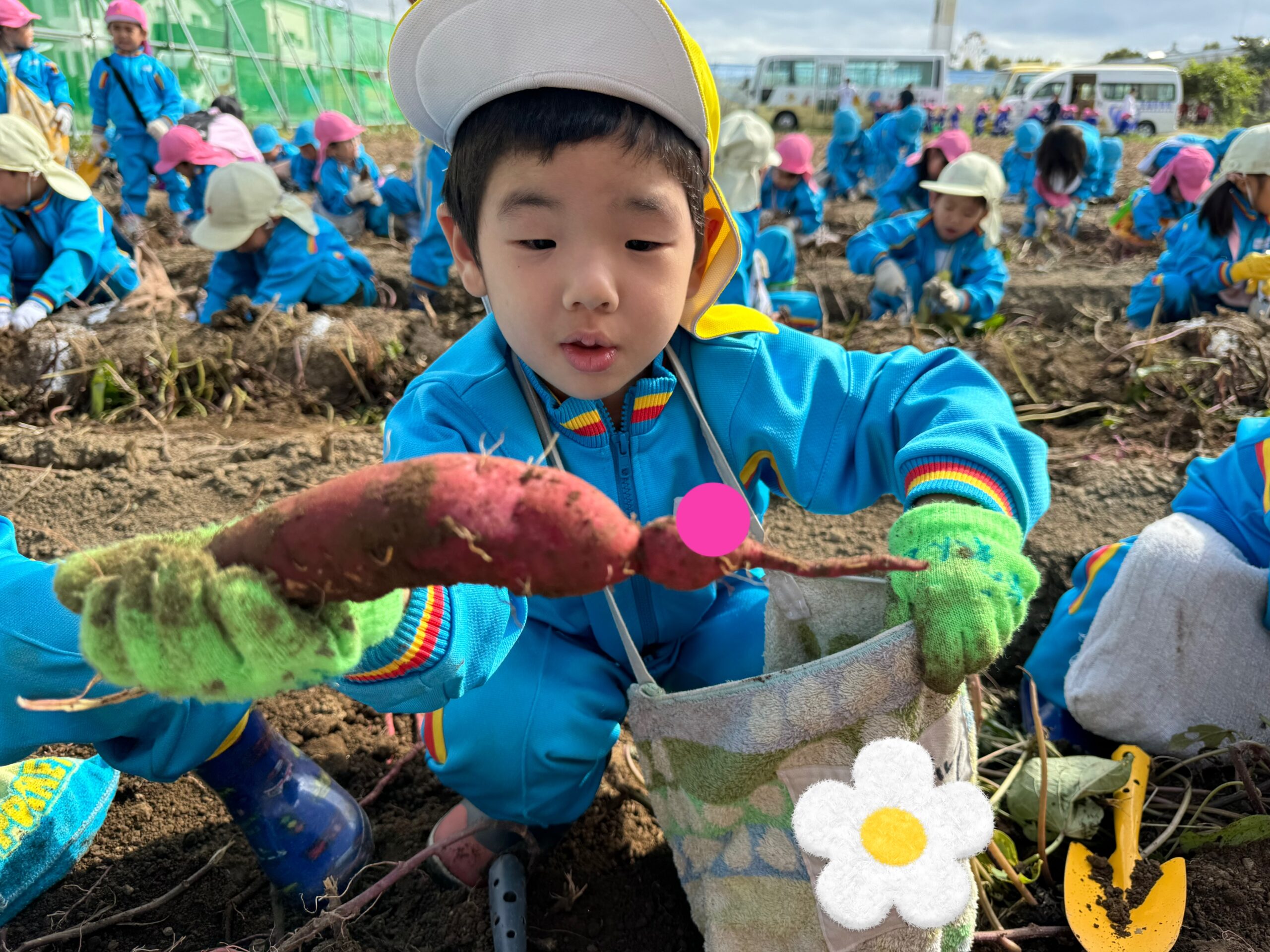 お芋掘り遠足♪