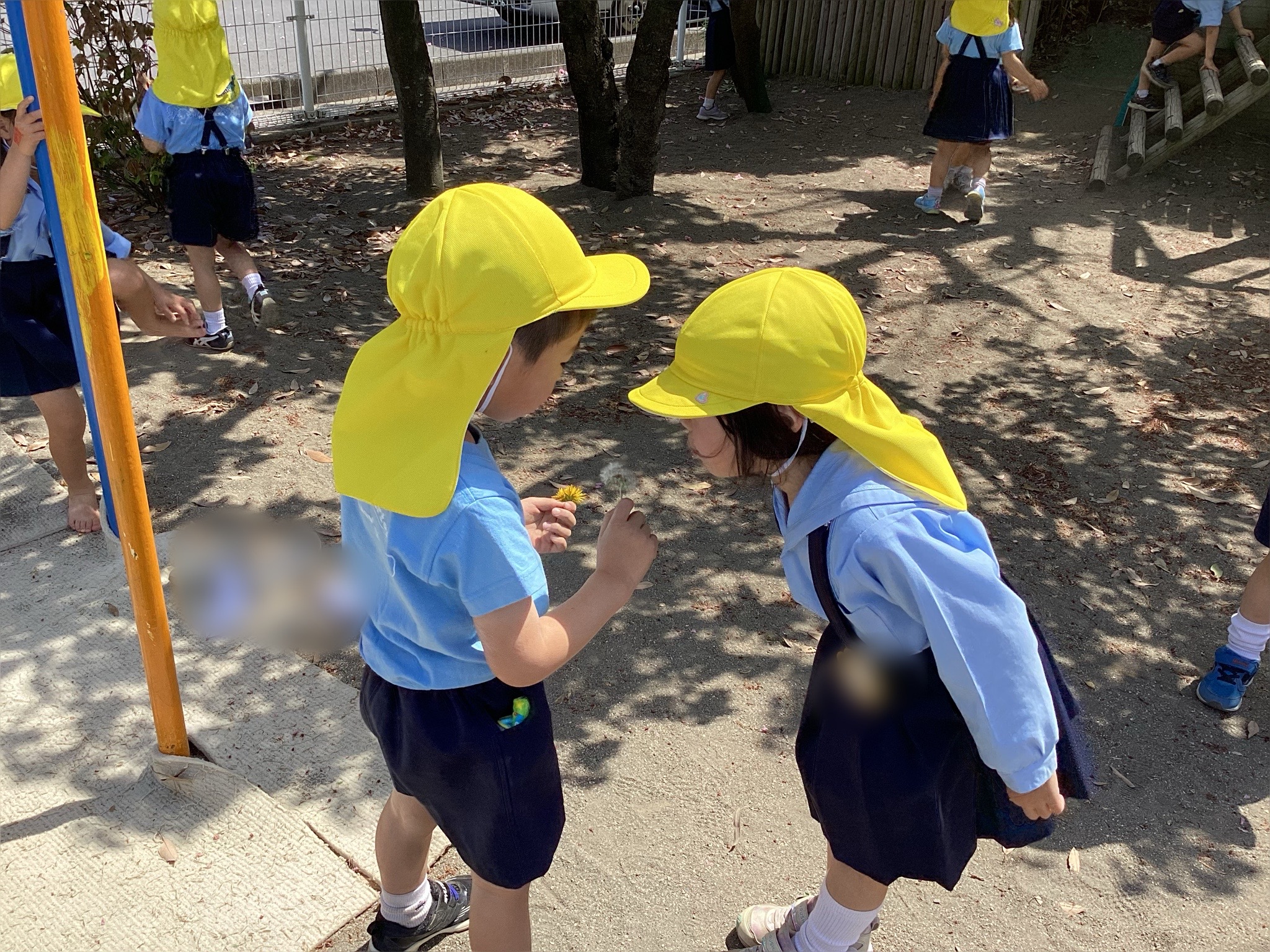 ばら３組