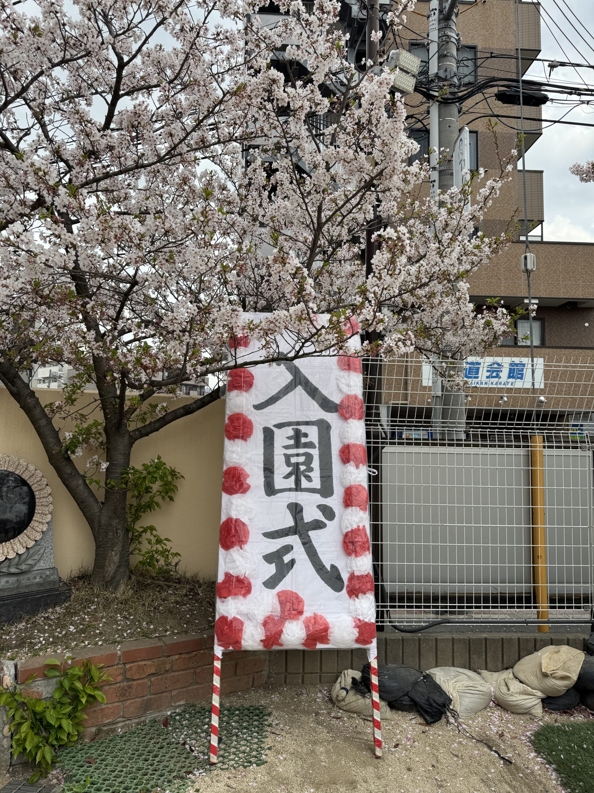 🌸入園式🌸