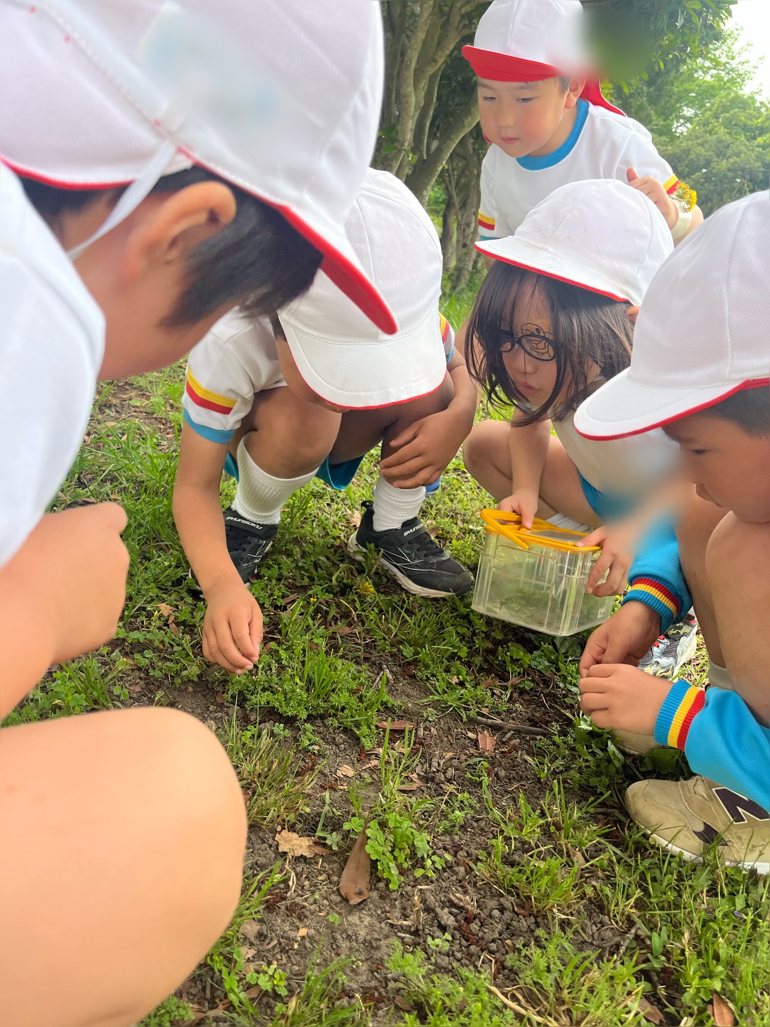 すみれ３組