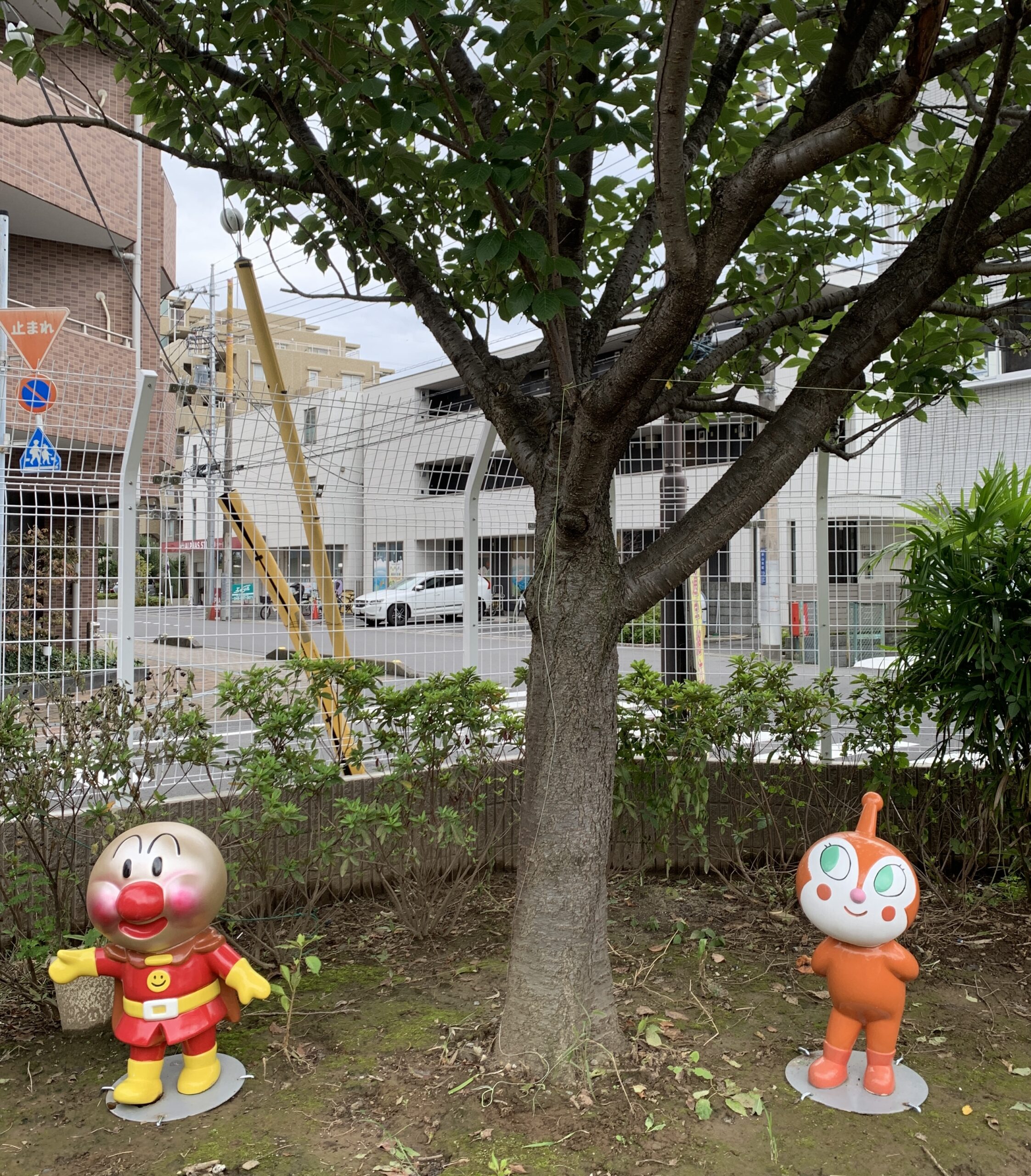 ３組チームの予行練習２回目‼️